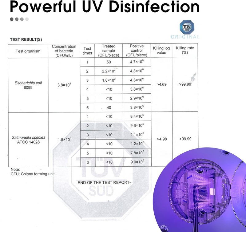 iHave معقم فرشاة الأسنان - حوامل فرشاة الأسنان UV المثبتة على الحائط للحمامات، ملحقات حمام أنيقة وديكور حمام للمنزل وRV، أساسيات السفر، أدوات رائعة (وردي) - Image 3